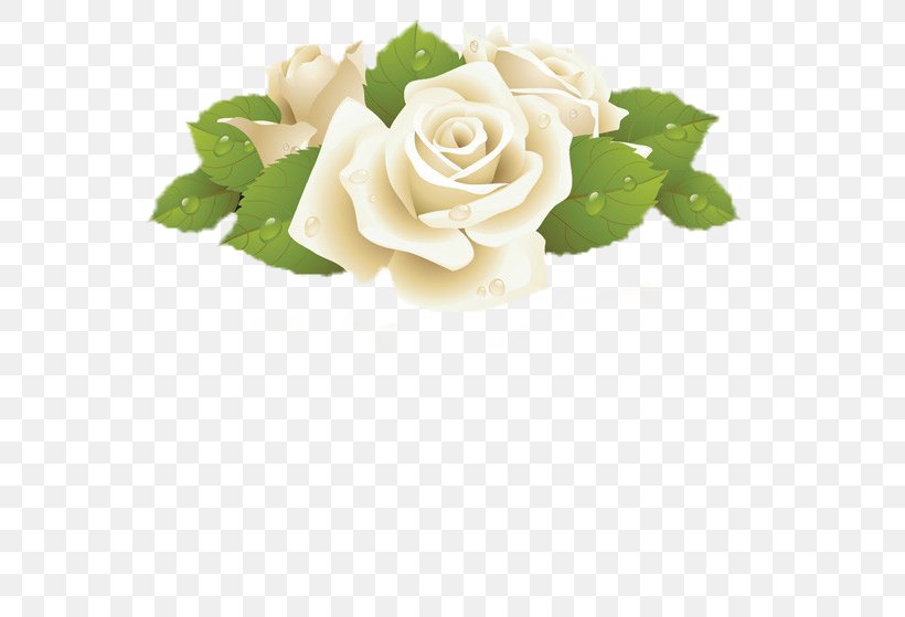 Rose White Clip Art, PNG, 600x559px, Rose, Cut Flowers, Floral Design, Floristry, Flower Download Free