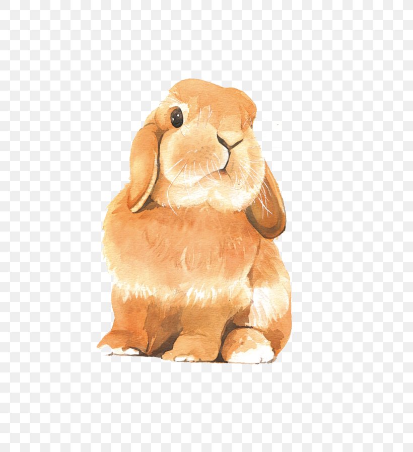 Watercolor Painting Drawing Colored Pencil Rabbit, PNG, 658x898px, Watercolor Painting, Book, Cartoon, Colored Pencil, Dog Like Mammal Download Free