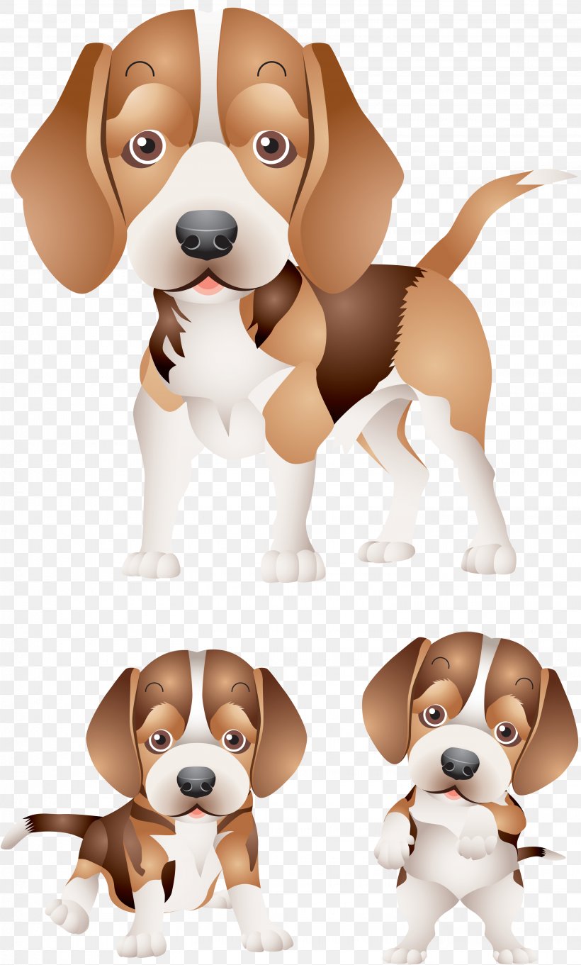 Beagle Dachshund Puppy Wedding Invitation Paper, PNG, 3030x5030px, Beagle, Carnivoran, Cartoon, Companion Dog, Computer Download Free