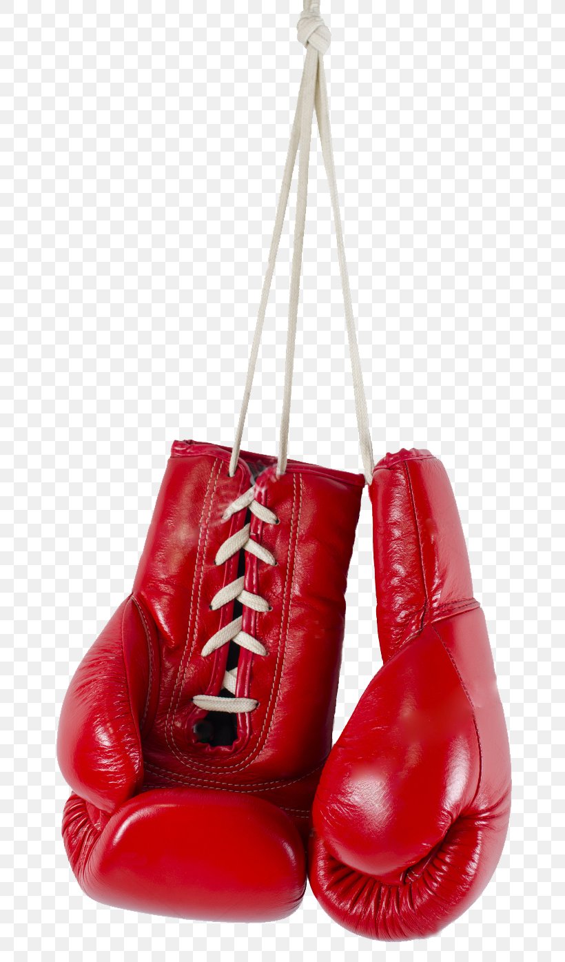 Boxing Glove Stock Photography, PNG, 790x1396px, Boxing Glove, Boxing, Boxing Equipment, Everlast, Glove Download Free