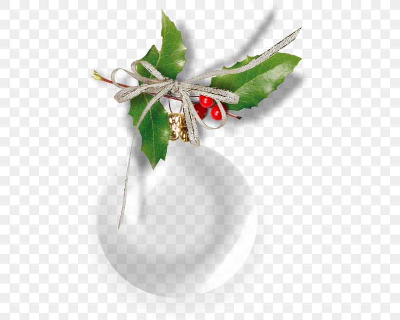 Clip Art Image Christmas Day Blog, PNG, 500x655px, Christmas Day, Blog, Brooch, Fashion Accessory, Flower Download Free