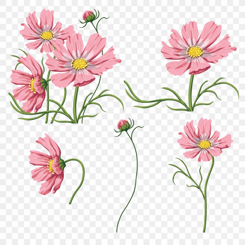 Cut Flowers Raster Graphics Flora, PNG, 2400x2400px, Flower, Annual Plant, Chrysanthemum, Chrysanths, Cosmos Download Free