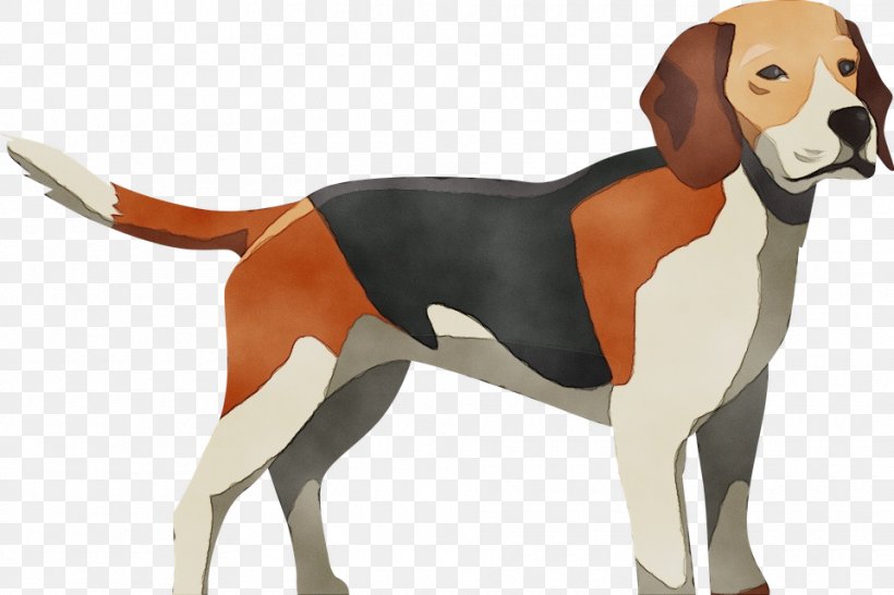 Dog Dog Breed Beagle-harrier English Foxhound American Foxhound, PNG, 960x640px, Watercolor, American Foxhound, Beagleharrier, Dog, Dog Breed Download Free