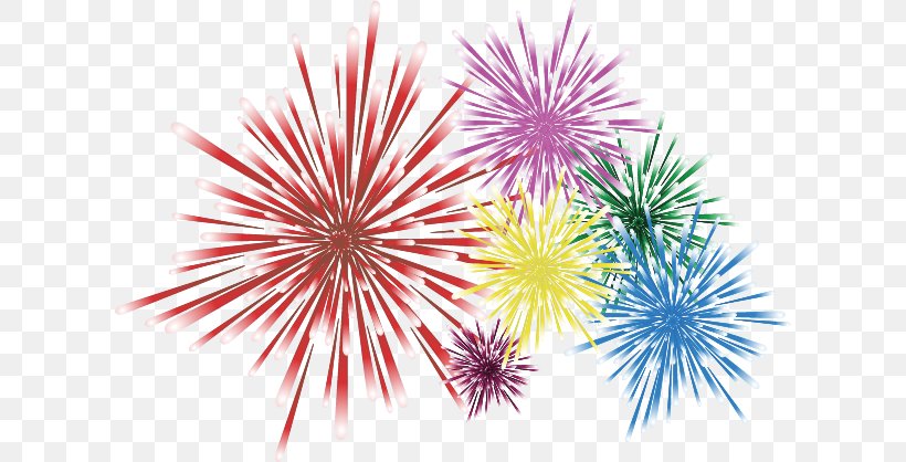 Fireworks Illustration, PNG, 612x418px, Fireworks, Christmas, Event, Flower, Petal Download Free