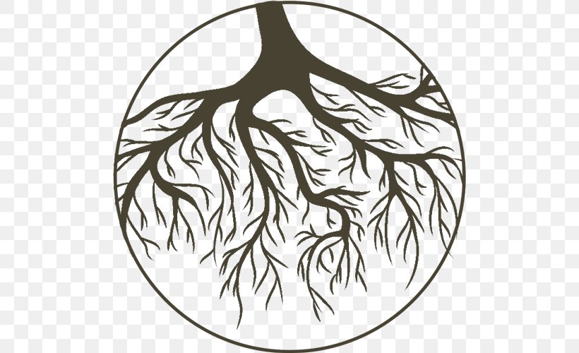 Tree Root Branch Clip Art, PNG, 501x500px, Tree, Art, Artwork, Beak, Bird Download Free