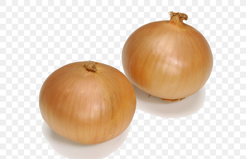Yellow Onion S&B Foods, PNG, 800x532px, Yellow Onion, Allium Fistulosum, Cooking, Food, Fruit Download Free