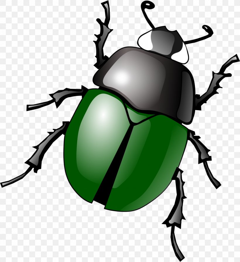 Beetle Software Bug Clip Art, PNG, 1097x1200px, Beetle, Aphid, Arthropod, Fly, Free Content Download Free