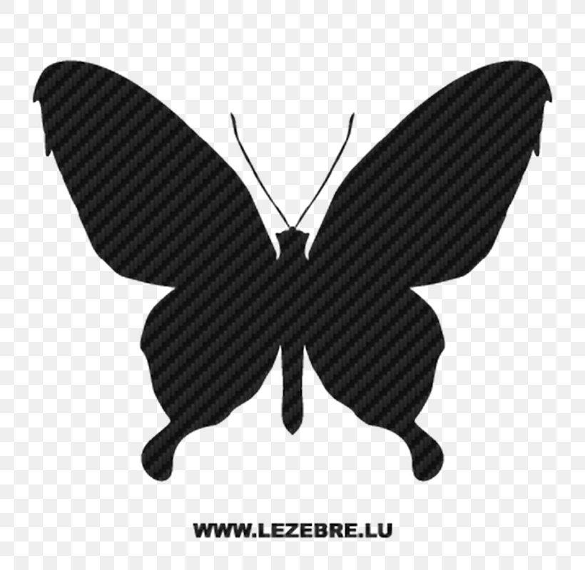 Butterfly Vector Graphics Insect Image Illustration, PNG, 800x800px, Butterfly, Arthropod, Black, Black And White, Insect Download Free
