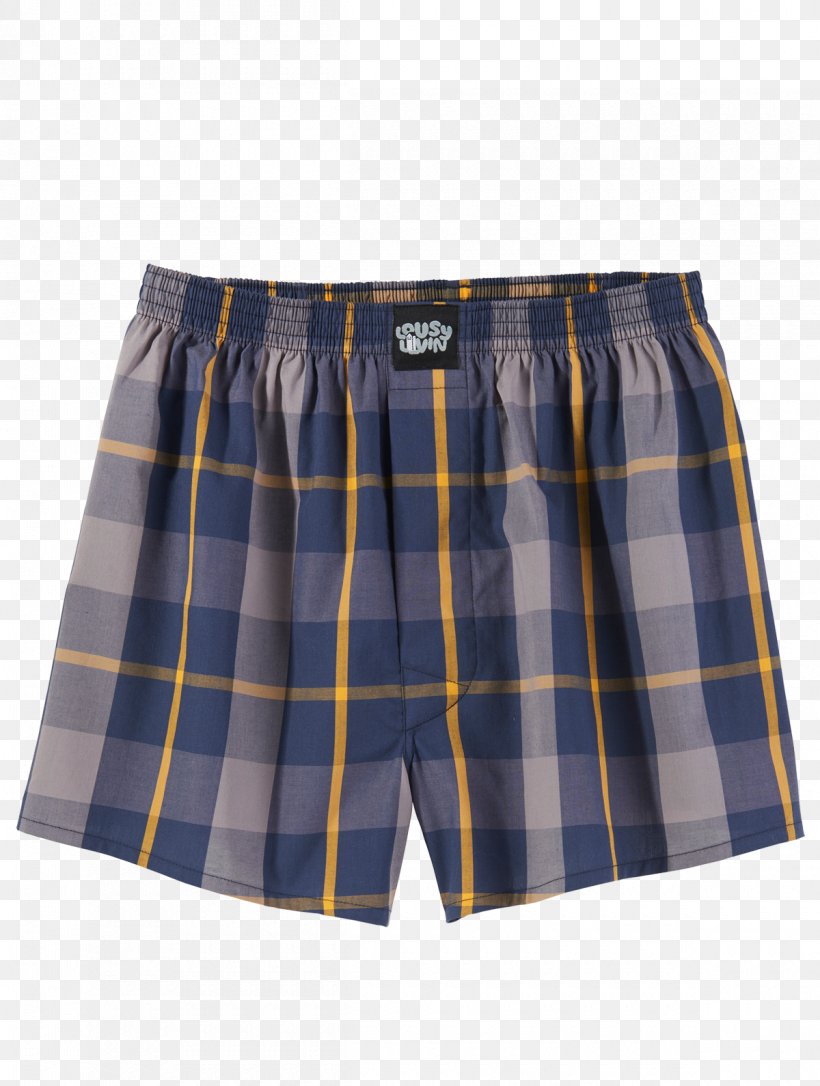 Trunks Swim Briefs Underpants Bermuda Shorts, PNG, 1200x1590px, Trunks, Active Shorts, Bermuda Shorts, Briefs, Plaid Download Free