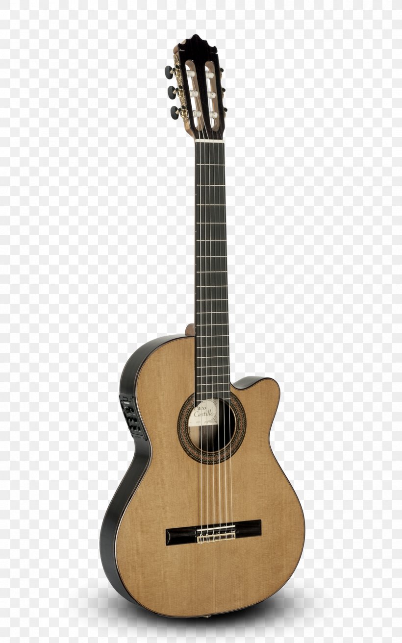 Ukulele Twelve-string Guitar Acoustic Guitar String Instruments, PNG, 1250x2000px, Watercolor, Cartoon, Flower, Frame, Heart Download Free