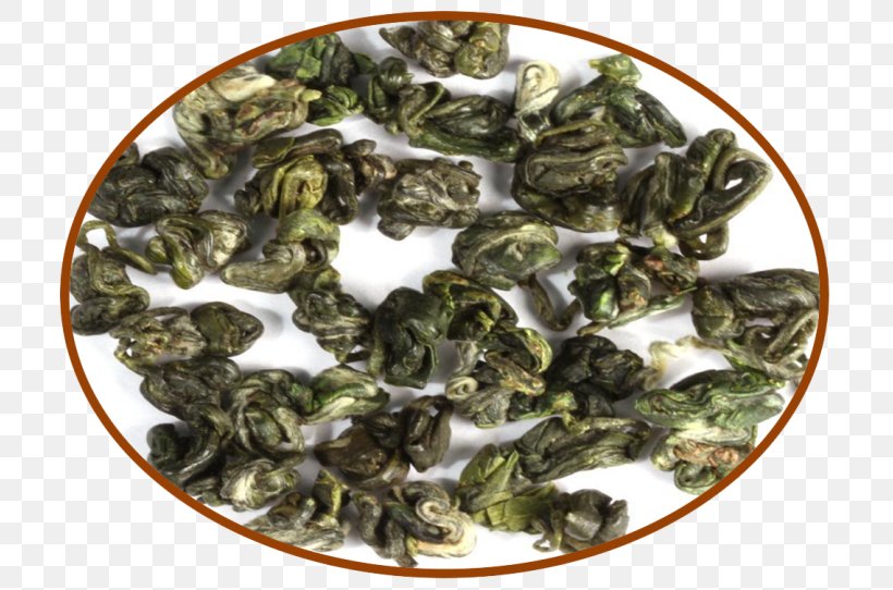 Biluochun Nilgiri Tea Tieguanyin Oolong Da Hong Pao, PNG, 720x542px, Biluochun, Adagio Teas, Da Hong Pao, Darjeeling Tea, Dianhong Download Free