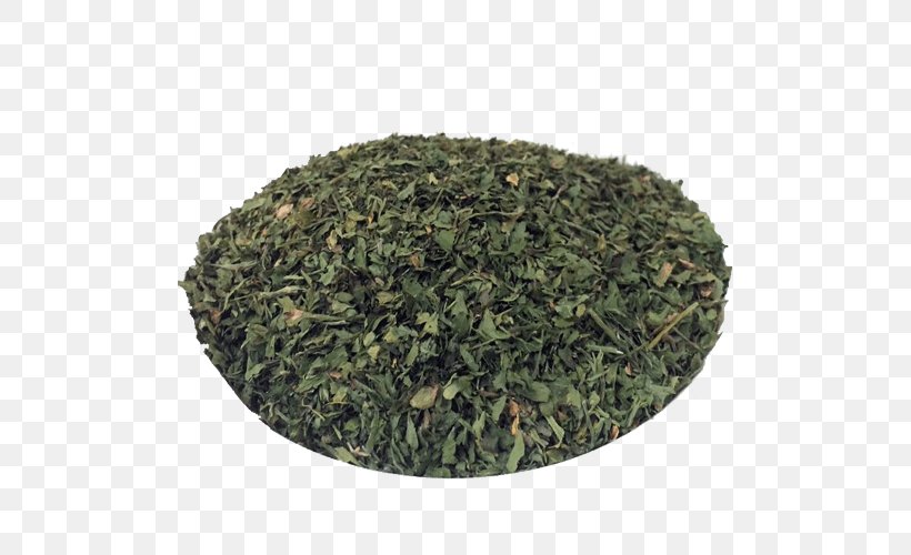 Nilgiri Tea Tieguanyin Tea Plant, PNG, 500x500px, Nilgiri Tea, Assam Tea, Bancha, Biluochun, Ceylon Tea Download Free