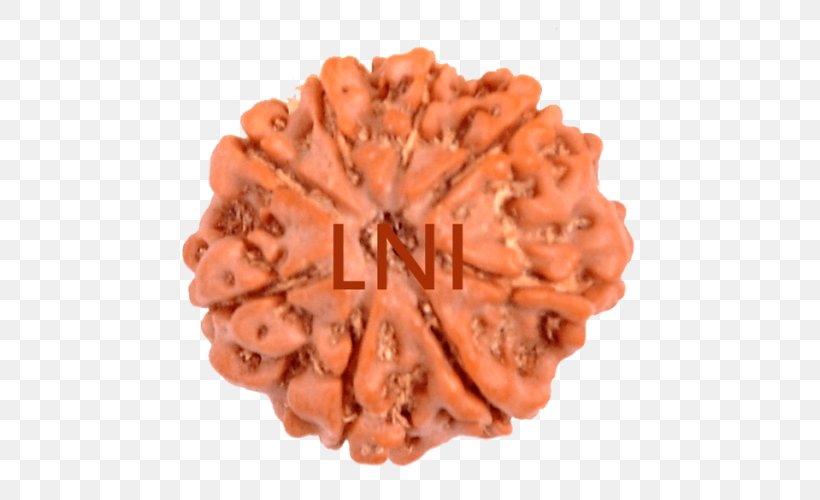 Rudraksha Shiva Ganesha Narayana Lakshmi, PNG, 500x500px, Rudraksha, Cookie, Durga, Ganesha, Hanuman Download Free