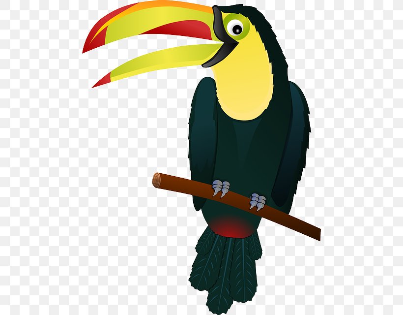 Bird Toco Toucan Clip Art, PNG, 486x640px, Bird, Beak, Coraciiformes, Document, Fauna Download Free