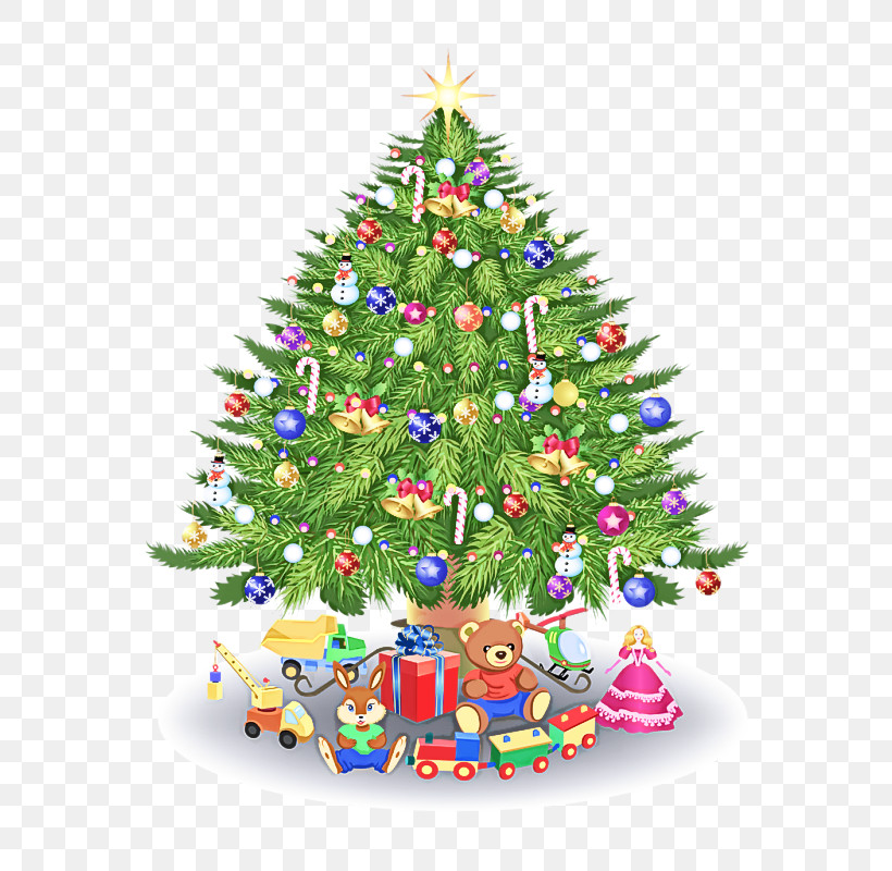 Christmas Tree, PNG, 560x800px, Christmas Tree, Branch, Christmas, Christmas Decoration, Christmas Eve Download Free