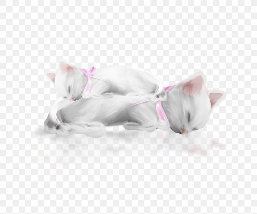 Kitten Whiskers Cat Paw, PNG, 1024x855px, Kitten, Carnivoran, Cat, Cat Like Mammal, Ear Download Free