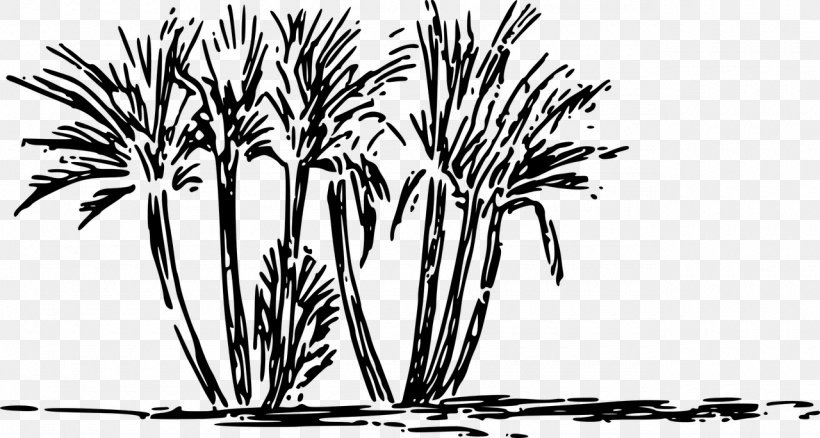 Oasis Clip Art, PNG, 1280x684px, Oasis, Arecales, Black And White, Branch, Date Palm Download Free