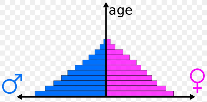 Population Pyramid Chart World, PNG, 1024x505px, Population Pyramid, Birth Rate, Brand, Chart, Cohort Download Free