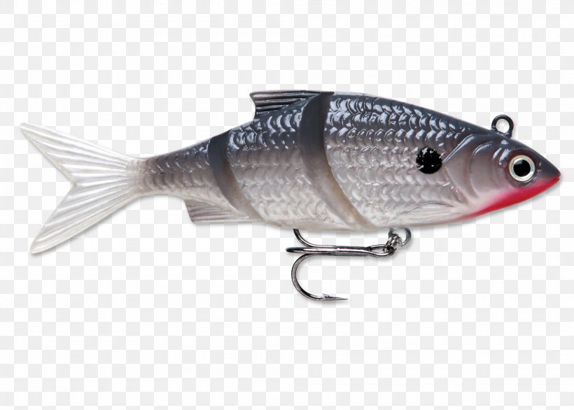 Spoon Lure Fishing Baits & Lures Plug Rapala, PNG, 2000x1430px, Spoon Lure, Angling, Bait, Common Rudd, Fish Download Free