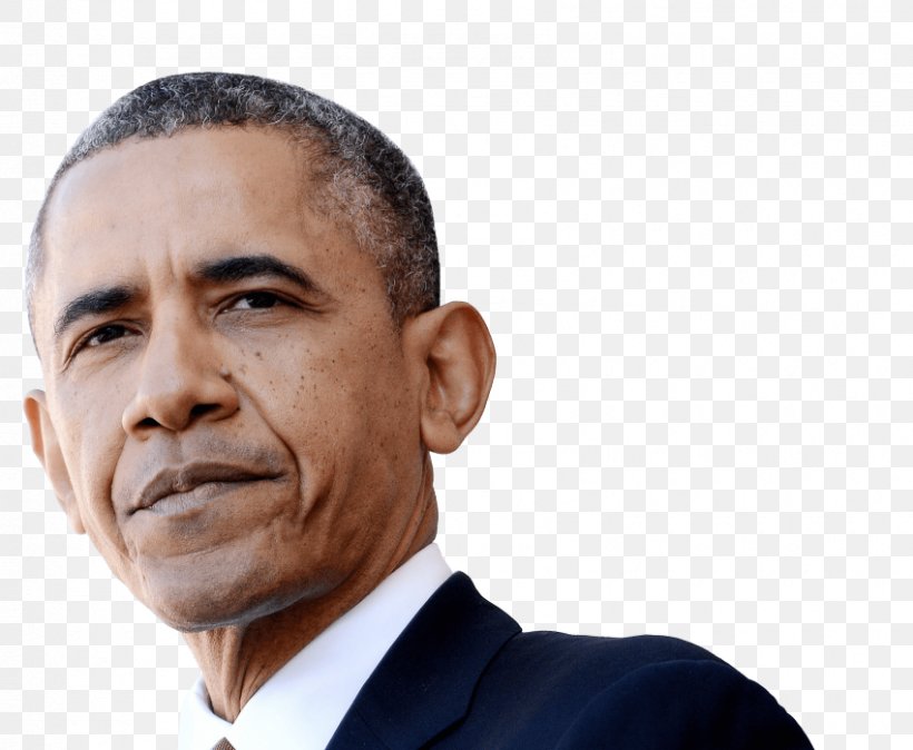 Barack Obama President Of The United States Democratic Party, PNG, 850x699px, Barack Obama, Business, Chin, Democratic Party, Ear Download Free