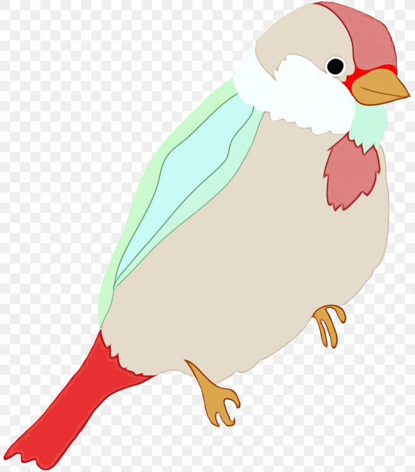Bird Beak Clip Art Flightless Bird, PNG, 1181x1343px, Watercolor, Beak, Bird, Flightless Bird, Paint Download Free