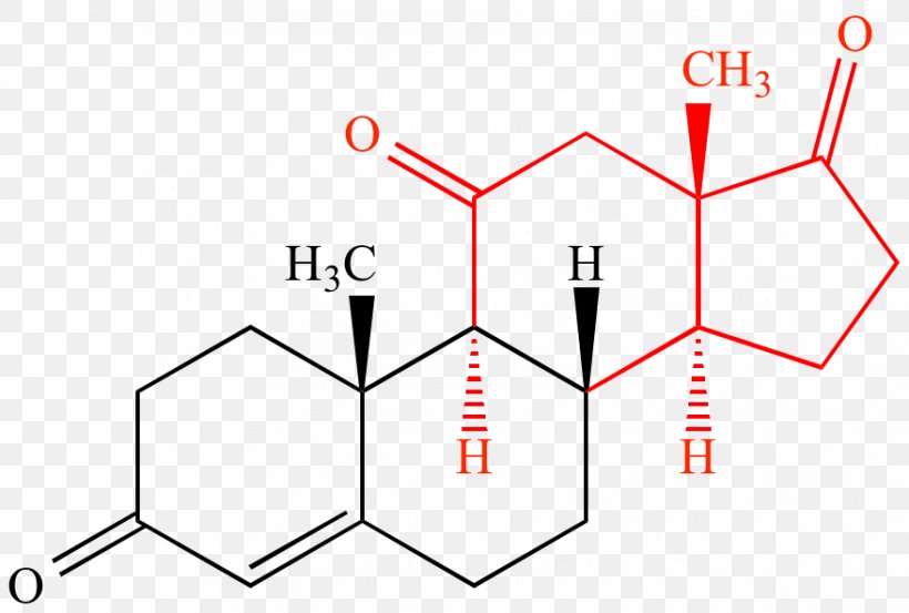 Chemical Formula Aldosterone Estradiol Chemical Compound Androstenedione, PNG, 878x593px, Watercolor, Cartoon, Flower, Frame, Heart Download Free