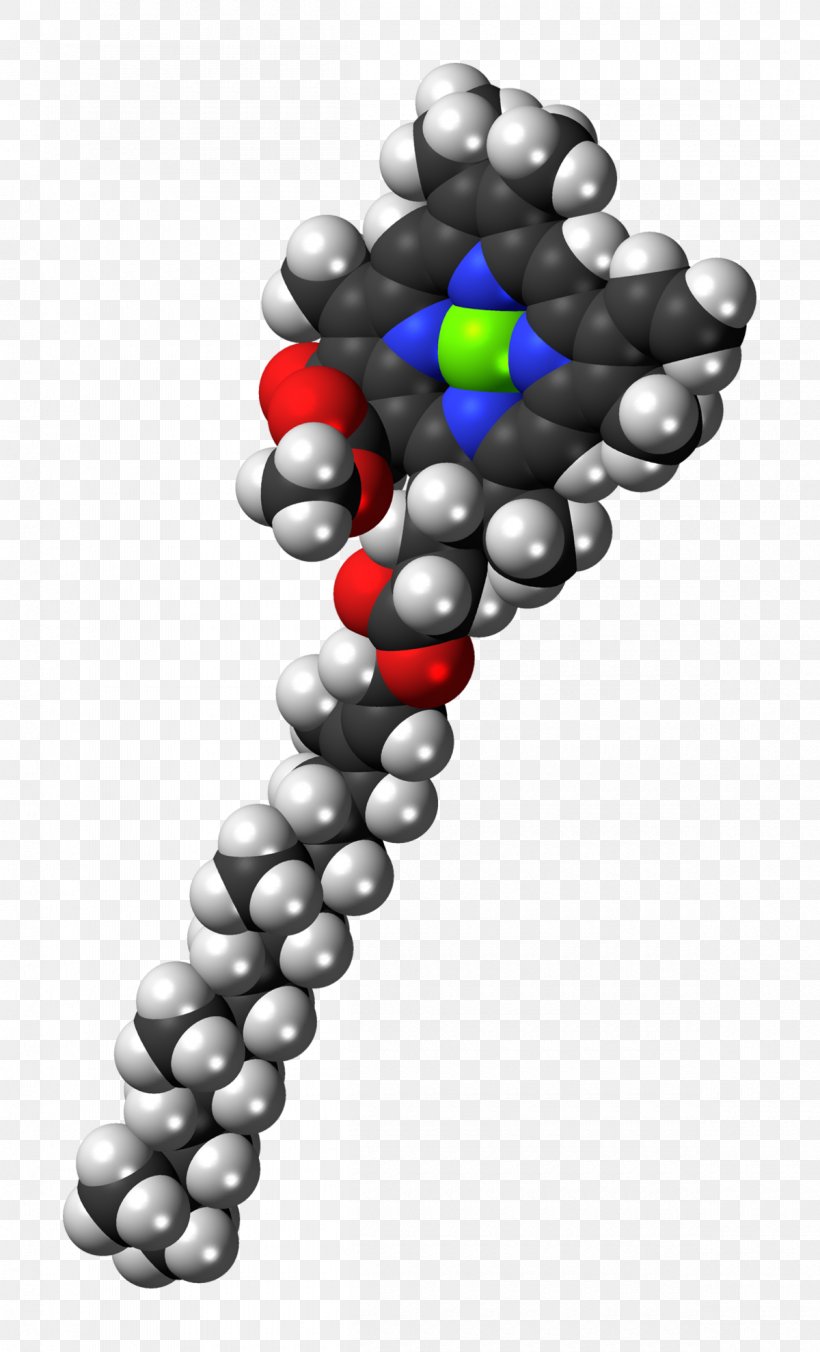 Light Chlorophyll A Chlorophyll B Photosynthesis, PNG, 1200x1979px, Light, Absorption, Biological Pigment, Body Jewelry, Chemistry Download Free