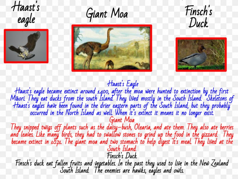 Mammal Line Font, PNG, 960x720px, Mammal, Area, Fauna, Organism, Text Download Free