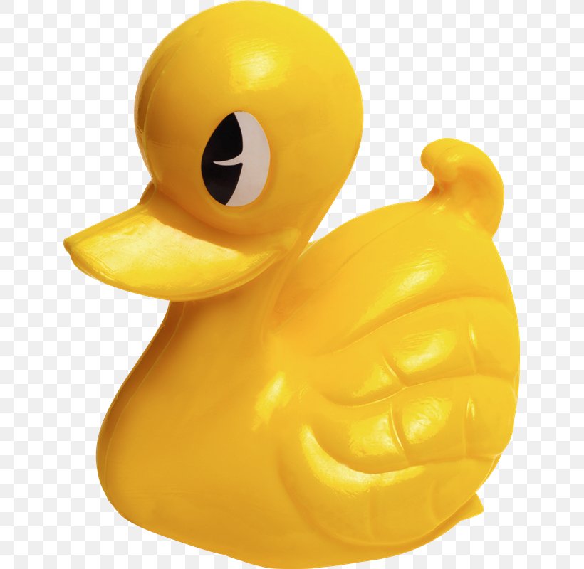Rubber Duck Toy Bathtub Bathroom, PNG, 641x800px, Duck, Bathroom, Bathtub, Beak, Bird Download Free