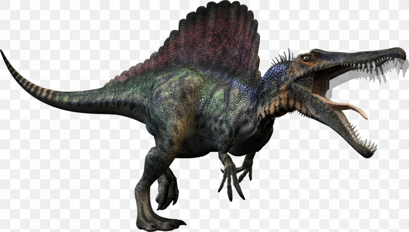 Spinosaurus Tyrannosaurus Giganotosaurus Carnivores: Dinosaur Hunter Carcharodontosaurus, PNG, 1171x666px, Spinosaurus, Animal Figure, Baryonyx, Carcharodontosaurus, Carnivore Download Free