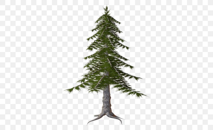 Spruce Temperate Coniferous Forest Clip Art, PNG, 369x500px, Spruce, Branch, Christmas Decoration, Christmas Ornament, Christmas Tree Download Free