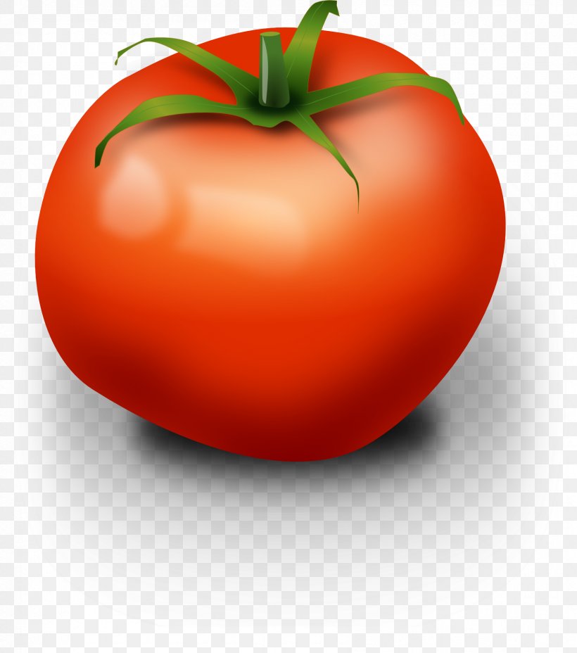 Tomato Clip Art, PNG, 1695x1920px, Tomato, Apple, Blog, Bush Tomato, Diet Food Download Free