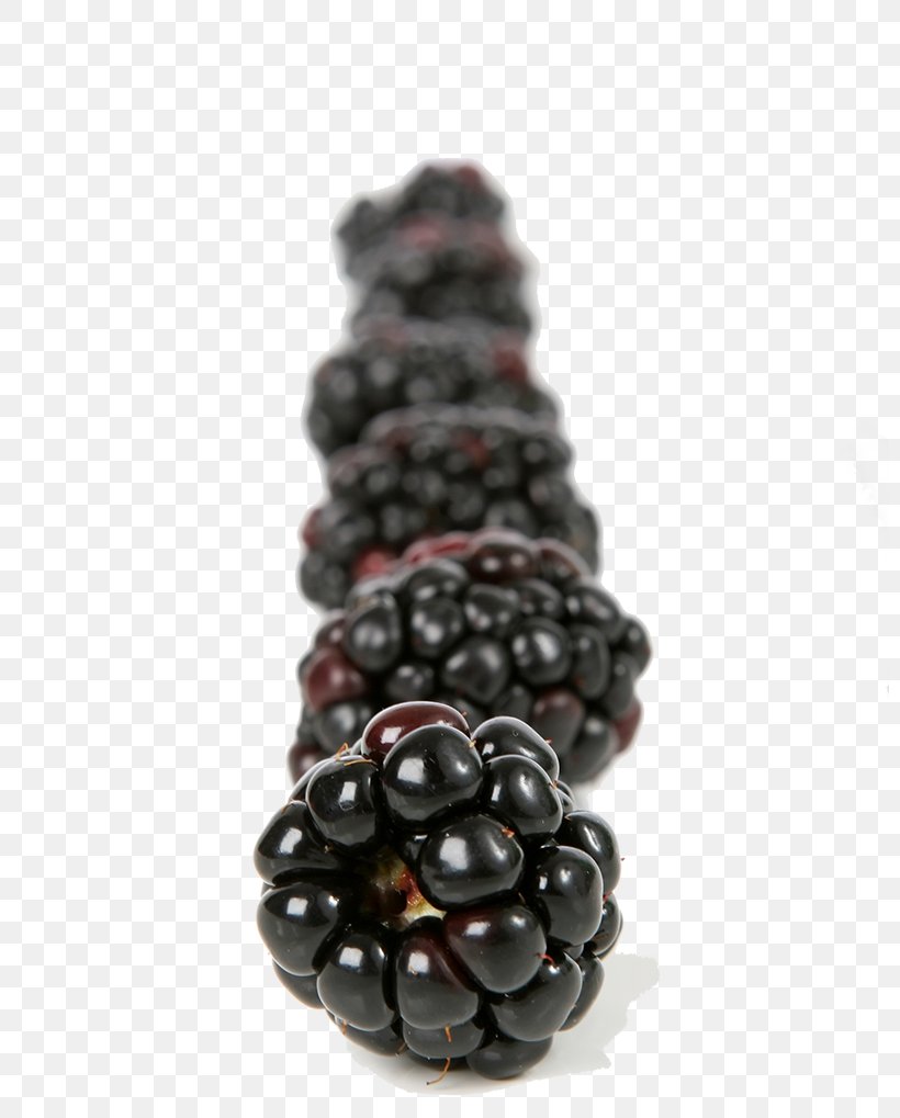 Frutti Di Bosco Blackberry Fruit Food, PNG, 800x1019px, Juice, Balsamic Vinegar, Bead, Berry, Blackberry Download Free