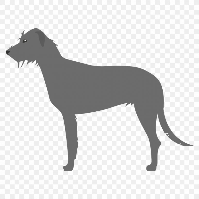 Italian Greyhound Sloughi Spanish Greyhound Whippet, PNG, 1000x1000px, Italian Greyhound, Black And White, Breed, Carnivoran, Dog Download Free