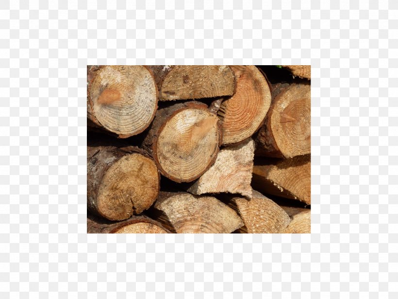 Softwood Firewood Lumber Hardwood, PNG, 1333x1000px, Wood, Building Materials, Firewood, Forestry, Hardwood Download Free