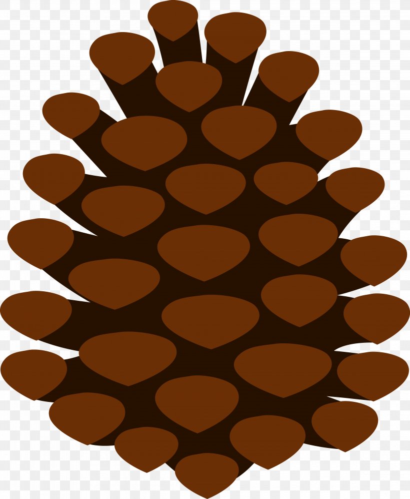 Stone Pine Conifer Cone Tree Clip Art, PNG, 4654x5663px, Stone Pine, Brown, Cone, Conifer Cone, Eastern White Pine Download Free