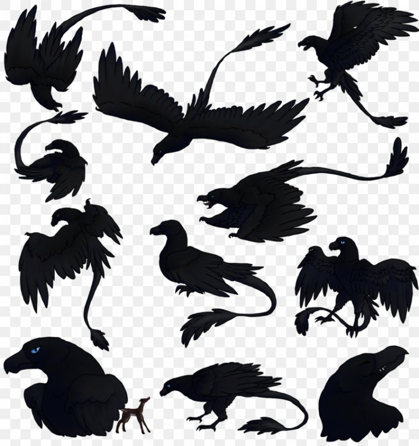 WILDLIFE (M) Fauna Beak Silhouette Feather, PNG, 866x922px, Fauna, Beak, Bird, Black And White, Crow Download Free