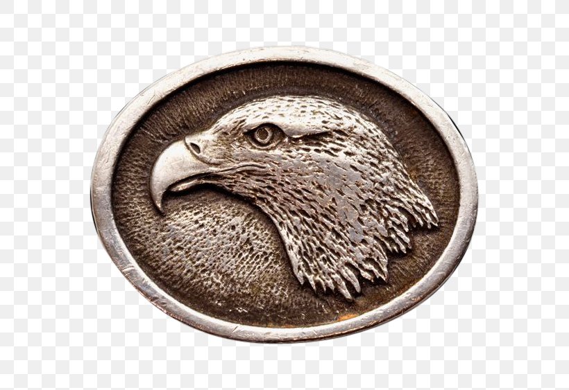 Eagle Silver Fauna Beak, PNG, 563x563px, Eagle, Beak, Bird, Bird Of Prey, Fauna Download Free