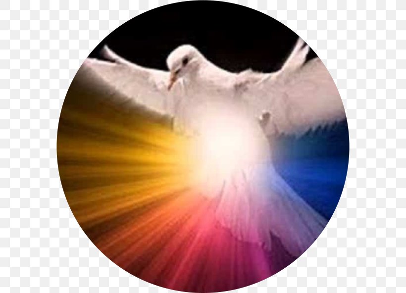 Holy Spirit In Christianity Doves As Symbols God The Father, PNG, 592x592px, Holy Spirit, Baptism, Beak, Doves As Symbols, God Download Free