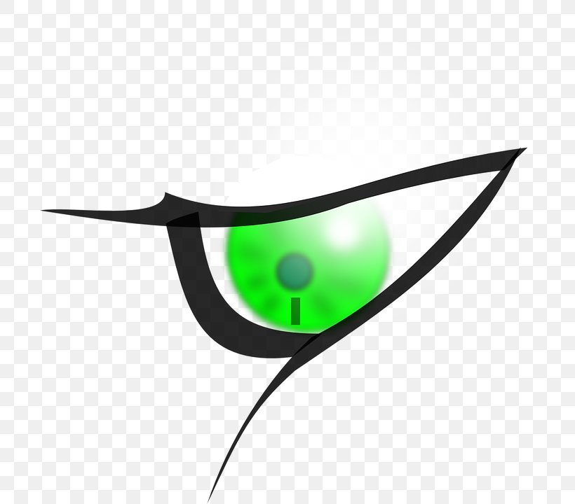 Human Eye Eyebrow Clip Art, PNG, 706x720px, Eye, Eye Color, Eyebrow, Green, Human Eye Download Free