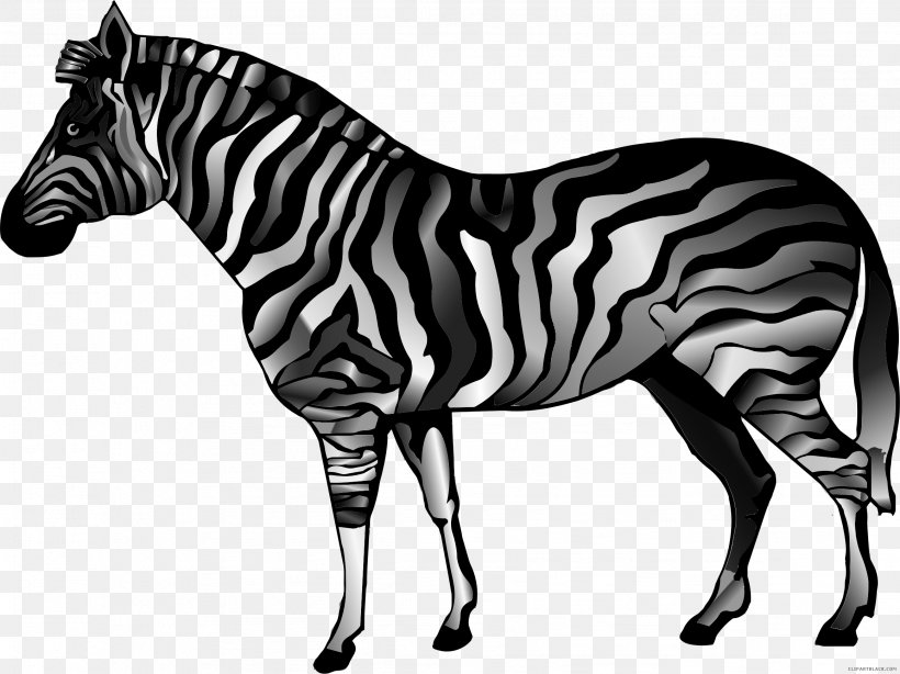 Quagga American Quarter Horse Clip Art Stallion Pony, PNG, 2318x1738px, Quagga, American Quarter Horse, Animal Figure, Black And White, Fauna Download Free