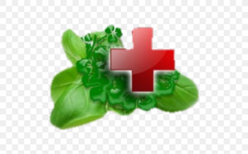 Therapy Herb Medicinal Plants Disease Pharmaceutical Drug, PNG, 512x512px, Therapy, Alcoholism, Cure, Cystitis, Disease Download Free