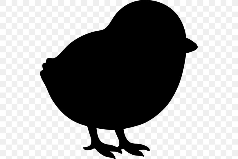 Clip Art Fauna Silhouette Beak Chicken As Food, PNG, 543x550px, Fauna, Beak, Bird, Blackandwhite, Chicken As Food Download Free