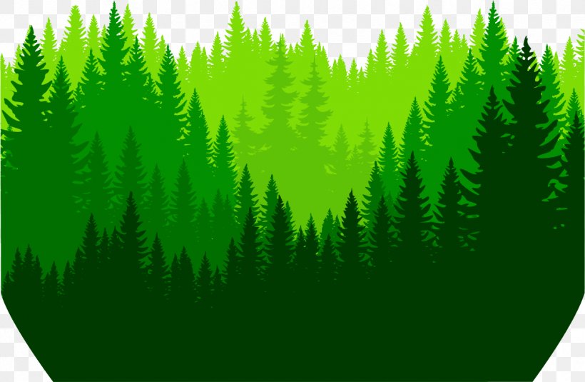 Euclidean Vector Icon, PNG, 1243x811px, Symbol, Biome, Forest, Grass, Grass Family Download Free