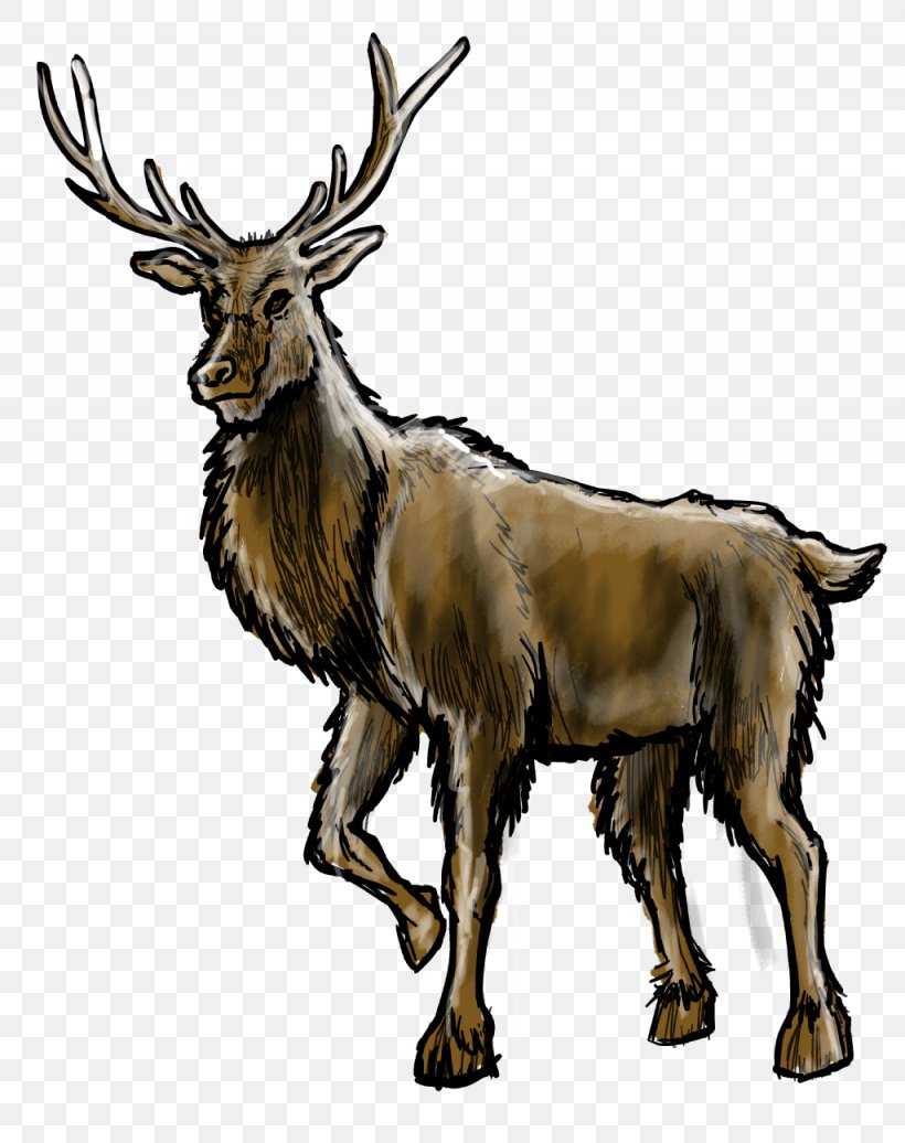Reindeer Elk Antelope Goat Cattle, PNG, 1025x1296px, Reindeer, Animal, Antelope, Antler, Cattle Download Free