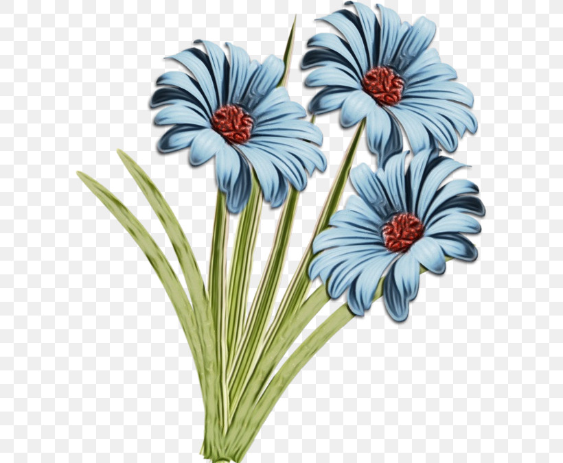 Transvaal Daisy Cut Flowers Flower Petal Plant, PNG, 600x675px, Watercolor, Biology, Cut Flowers, Flower, Paint Download Free