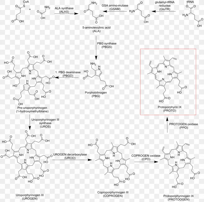 Protoporphyrin IX Heme Cytochrome C, PNG, 1208x1199px, Protoporphyrin Ix, Area, Biosynthesis, Black And White, Chelatase Download Free