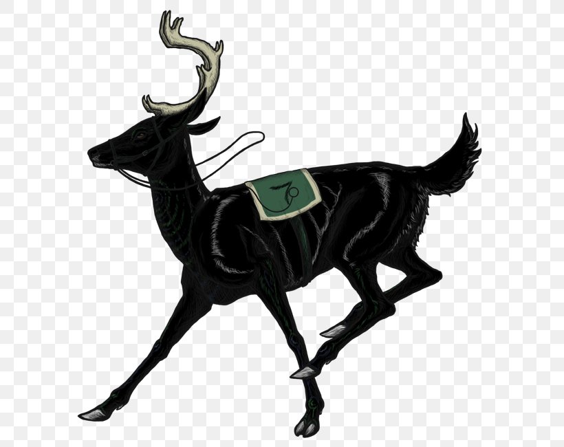 Reindeer Antler, PNG, 616x650px, Reindeer, Antler, Deer, Horn Download Free