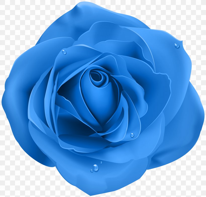 Rose Blue Transparent Clip Art, PNG, 8000x7669px, Blue Rose, Azure, Black Rose, Blue, Cobalt Blue Download Free