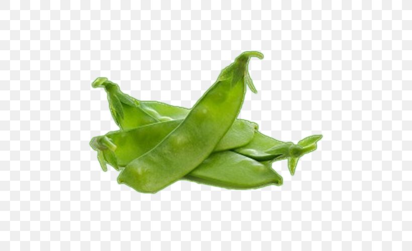 Snow Pea Snap Pea Vegetable Edamame Green Bean, PNG, 500x500px, Snow Pea, Bean, Broad Bean, Commodity, Edamame Download Free